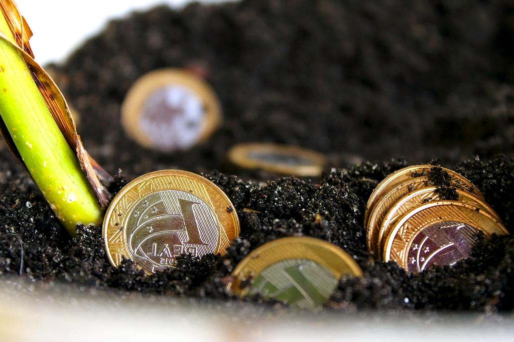 Professional financial advisor reviewing budget plans with European family in modern office setting