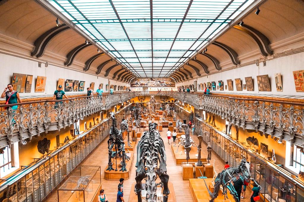 Portrait of Maria Schmidt, satisfied customer from Munich Germany